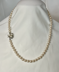 Single strand warm pearls w/stunning clasp knotted necklace RENTAL